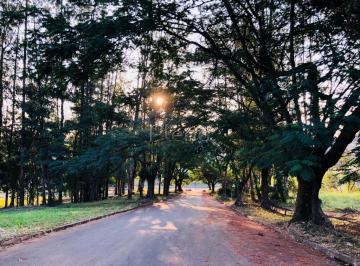 imagem · Terreno à venda em Campinas, Swiss Park, com 798 m²