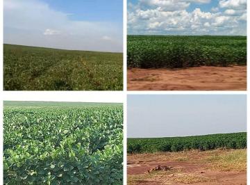 Rural · 4824000m² · FAZENDA 600 HECTARES  DUPLA APTIDAO EM CAMPO G...