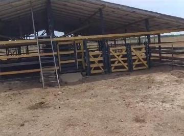 Fazenda em Salvaterra - Pará , São 1.000 hectares as margens do Rio São Lourenço · FAZENDA NO PARÁ MUNICÍPIO DE SALVATERRA
