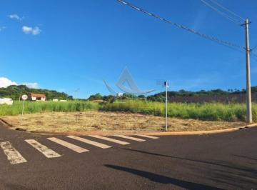 9793-a93024b594-whatsapp-image-2024-10-03-at-11-48-40.jpeg · Terreno Recreio Anhanguera Ribeirão Preto