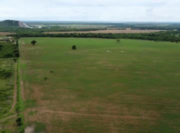 Rural , Formoso do Araguaia · Fazendo no Tocantins - 1.243 hectares - 768 hectares para agricultura