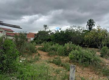Foto 01 · Terreno - Montenegro