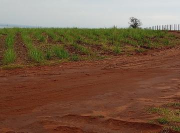 Foto 01 · Fazenda de 500 Alqueireis paulistas, sem benfeitorias, plantada em cana sai R$ 4.000,00 o alqueire p