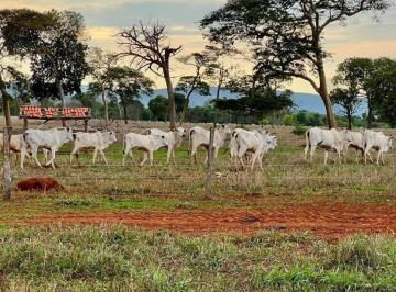 Rural · 3964347m² · Fazenda à venda, Zona Rural - Campos Belos/GO