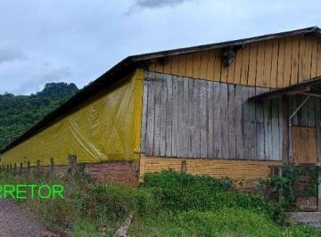 Foto 01 · Chacara, Pinheiro Machado, Brochier, RS