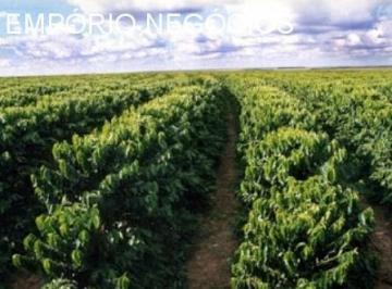 Foto 01 · Fazenda venda. Empório Negócios vende fazenda café e pecuária na região de Monte Santo de minas - MG