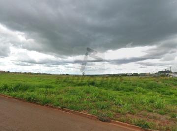 12144_inA5xWV1733935ySGq_12144672a1b04669ce.jpg · Terreno à venda - em Cravinhos