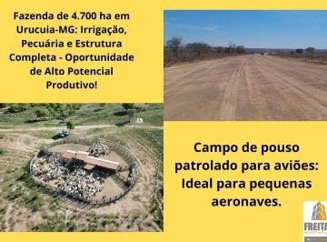 Foto 01 · Fazenda à Venda em Urucuia, MG - 4.700 Hectares com Potencial para Irrigação e Agricultura Pecuária 
