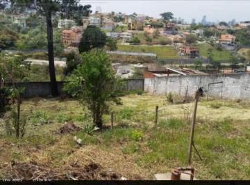 202411141959135498.jpg · Terreno para Venda em Santana de Parnaíba, Jardim Rancho Alegre