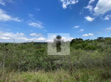 2cbe30d740a6f0f5934cd201d1f1d381300f5e9d · Terreno à venda, 20000 m² por R$ 700.000,00 - Joaquim Egídio - Campinas/SP