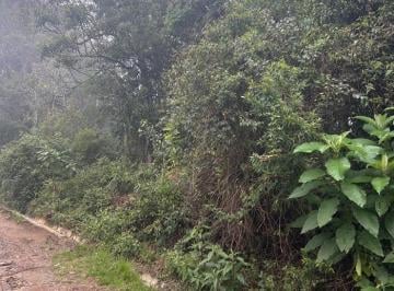 Terreno · 1000m² · Terreno à venda - em Monte Verde
