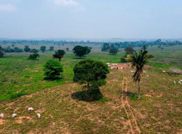 Rural , Araguaína · FAZENDA NO TOCANTINS - 1.998 HECTARES - DUPLA APTIDÃO