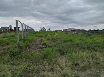 Terreno · 1000m² · Terreno à venda de 1000m² no bairro Canal Torto