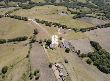 Rural · 570ha · Rurais à venda - em Santana da Boa Vista