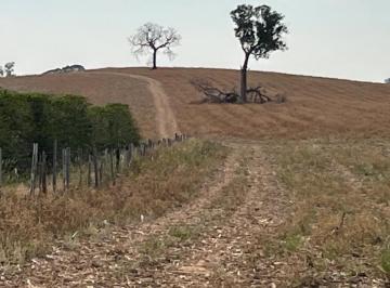 e0957144e53a12360b1858dbbd317f95.jpeg · Fazenda / Sítios / Chácaras com 1 quarto à venda em Divisa Nova, no bairro Zona Rural