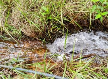 Rural de 1 quarto, Alto Paraíso de Goiás · FAZENDINHA TRIPLA APTIDÃO NA CHAPADA DOS VEADEIROS 