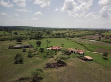Rural , Castro Alves · Fazenda em Castro Alves 