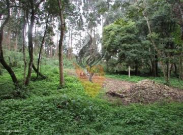 Terreno · 1550m² · Apartamento para Venda em Colombo / PR no bairro São Dimas