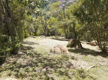 Terreno espetacular em Visconde de Mauá, no Vale da Santa Clara!lt;brgt;Com apro · Terreno à venda, 3280 m por R 300.000,00 Centro ResendeRJ