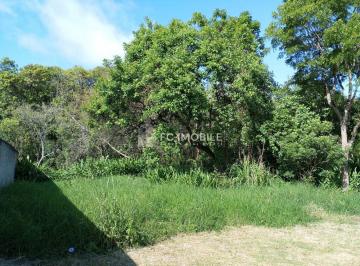 69a969b2-e1fb-4b48-8d6f-142e4443aa32-17319376518585.jpeg · Chácara com 2.800 m², à venda em Curitiba/PR