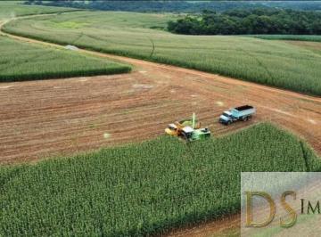 Foto 01 · Fazenda Leiteira e Laticínio de 244,5 Alqueires à Venda na região de Itapetininga/SP - Excelente Opo