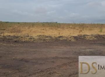 Foto 01 · Fazenda com eucalipto à venda em Brasilândia/MG: 14.600 hectares de oportunidades!