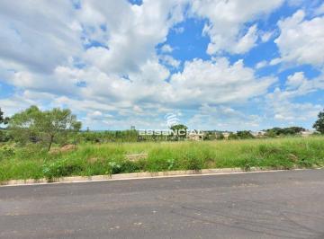 4c28b0fd43f390fb53864bb488985bbd4826fcdf · Terreno à venda, 250 m² por R$ 70.000,00 - Rubião Junior - Botucatu/SP