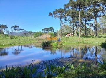 0zkfllm2nzm0yjy2mgrlyzax_md · SITIO URUBICI- SC NA SERRA, COM LAGOAS, CASA, ARAUCARIAS LINDA VISTA E NASCENTES