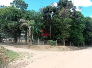 Foto 01 · Chacara, Campestre dos Paulas, Mandirituba, PR
