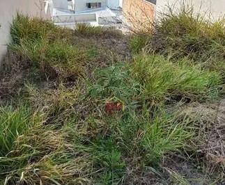 7f800f52a5d42e91500dade590600d2e64a707e2 · Terreno à venda, 175 m² por R$ 233.000,00 - Portal dos Pássaros - São José dos Campos/SP