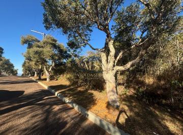 Terreno · 3000m² · Terreno à venda no bairro Serra Dos Manacás - Nova Lima/MG