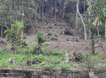 Terreno · 1000m² · TERRENO PARA FORMAR Á 1,5 KM DA BR EM JUQUITIBA/SP