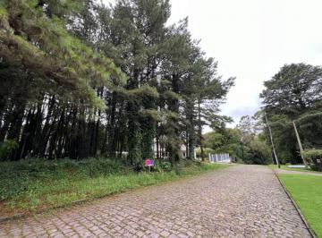 610718.jpg · Terreno - Bairro Vila Suzana