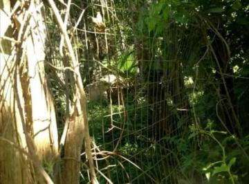 
                                2680_36726_1649685071001.jpg
                             · 
                    
                        Terrenos Urbano para venda em Suzano - SP
            