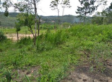 
                                2126_20169_1627055879383.jpg
                             · 
                    
                        Terrenos Urbano para venda em Suzano - SP
            