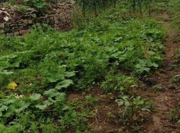 
                                2684_36929_1649690482689.jpg
                             · 
                    
                        Terrenos Diversos para venda em Suzano - SP
          
