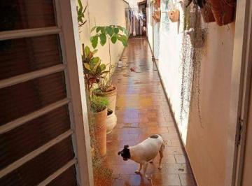 905d0f974a84c9bac5d4b80316e85038faf542fe · Casa Mãe Prtea, 2 quartos (1 suite), 2 garagens em ótima localização.