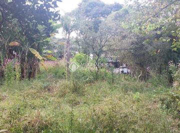 Terreno · 6700m² · Terreno no bairro Belém Velho 6.700 ²