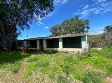 Rural , Luziânia · FAZENDA EM LUZIÂNIA COMPLETA COM MUITO PASTO - ÁGUA EM S PASSANDO NA FAZENDA!