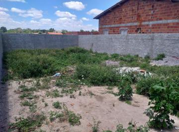 Foto 01 · Terreno, Avenida, Irará, BA