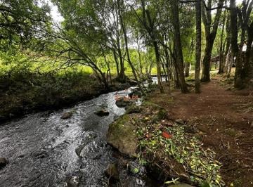 33914783_g.jpg · 
                                Imóvel: Área de Terra em Farroupilha disponível para venda - confir