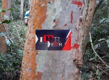 d46b4b58e01c0aaa11ccb01cff54ea71af41e1aa · Fazenda em Juiz de Fora - MG