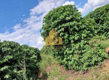 Rural · 1250000m² · Rurais à venda - em Campos Altos