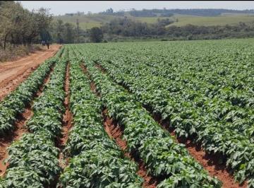 Rural , Itapetininga · FAZENDA ITAPETININGA