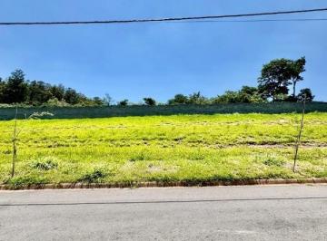 Foto 01 · Comprar/vendo: Terreno a venda com 250m² (10X25), leve aclive e fundo para área verde, no Residencia