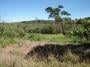 ig9d6c_9865fca3cbbb58b_mJkOWZhODM1ZTk2_o.jpg · Lote / Terreno à venda em Três Pontas, no bairro Zona Rural
