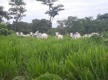 i6437K4j85H9k249EF_29856387525cf11de_zlmYzI3ZjJiNWU2_o.jpg · Fazenda / Sítios / Chácaras com 3 quartos à venda em Ibiaí, no bairro Zona Rural