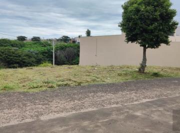 20221118172234155.jpg · Terreno para Venda em Marília, Jardim Maria Martha