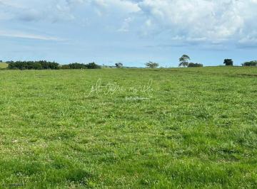 20230420114216713.jpg · Área para Venda em Marília, Jardim Tangará