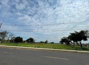 20230512174102909.jpg · Área para Venda em Marília, Santa Antonieta